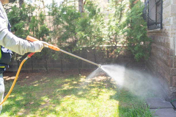 Best Flea Control Services  in Williamsport, MD