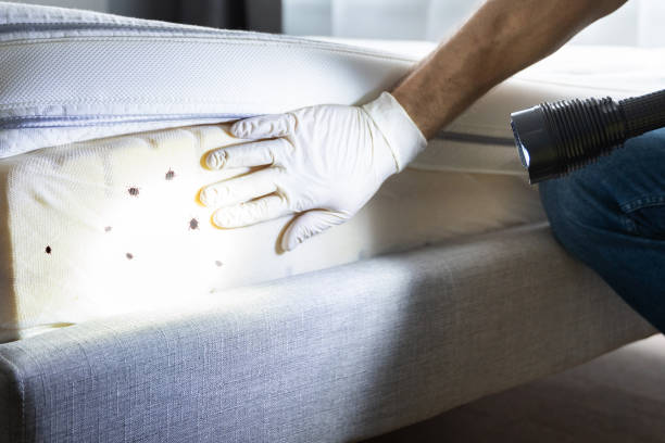 Best Wildlife Control Services  in Williamsport, MD