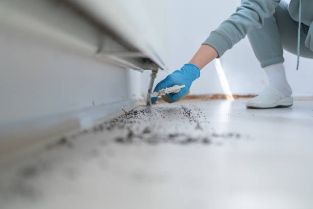 Best Insect Control  in Williamsport, MD