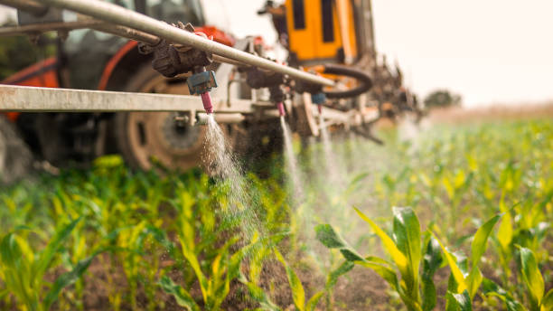 Best Pest Control for Businesses  in Williamsport, MD